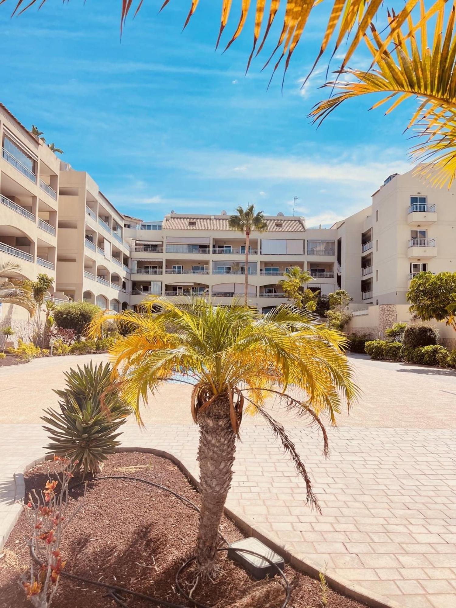 Palm Mar Penthouse Duplex Lejlighed Eksteriør billede
